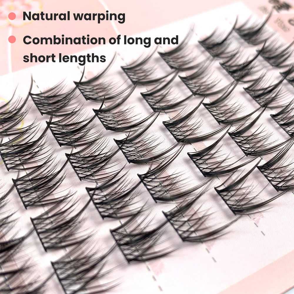 Cluster Eyelashes Segmented DIY (4)
