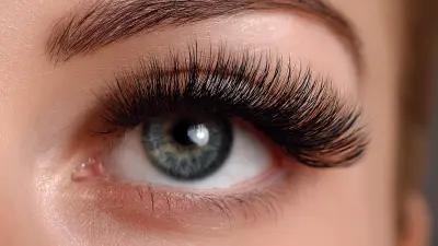 Navigating Import and Export Certifications for Best Home Lash Extensions a Comprehensive Tutorial